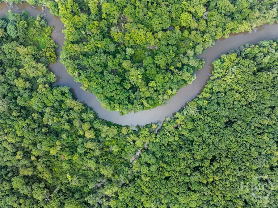 0 Old River Rd N, Statesboro, GA 30461 - Image #3