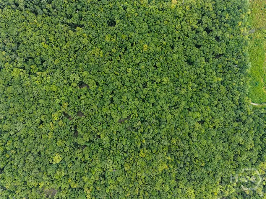 0 Old River Rd N, Statesboro, GA 30461 - Image #2