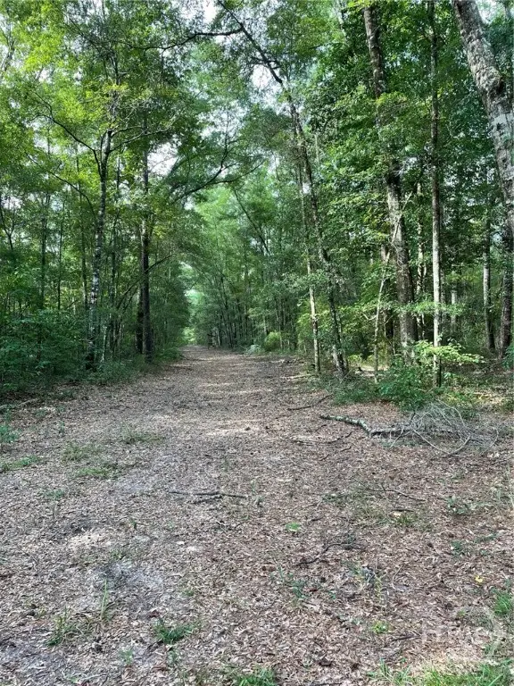 01 Old Augusta Rd, Clyo, GA 31303 - Image #2