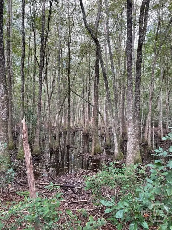 01 Old Augusta Rd, Clyo, GA 31303 - Image #3