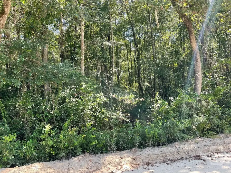 05 Old Augusta Rd, Clyo, GA 31303 - Image #2