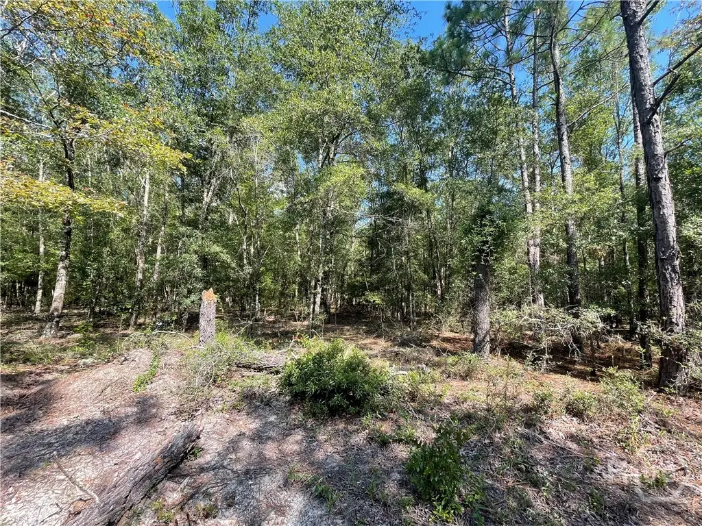 06 Old Augusta Rd, Clyo, GA 31303 - Image #1