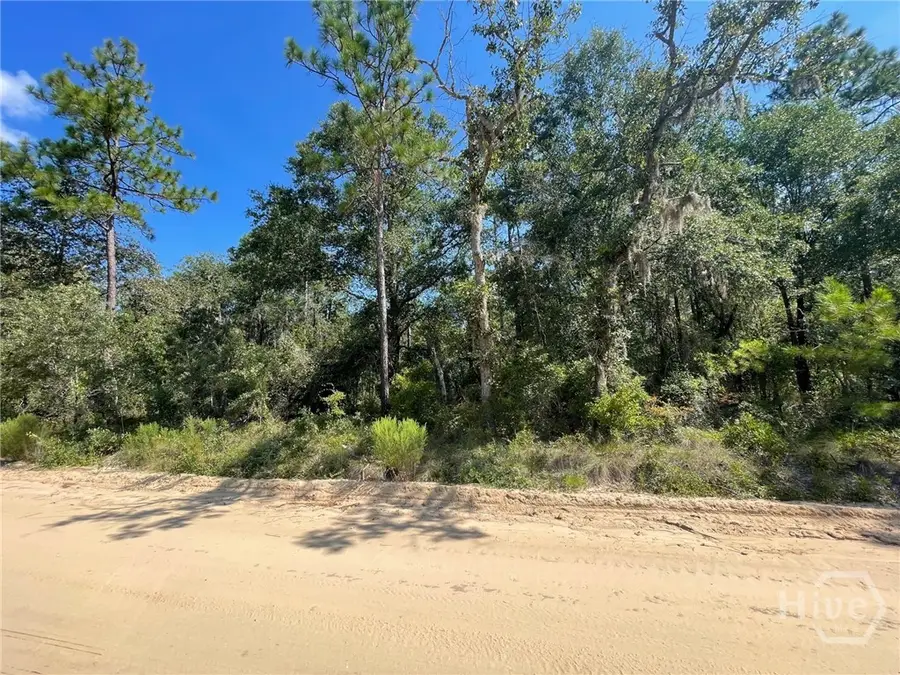 06 Old Augusta Rd, Clyo, GA 31303 - Image #3