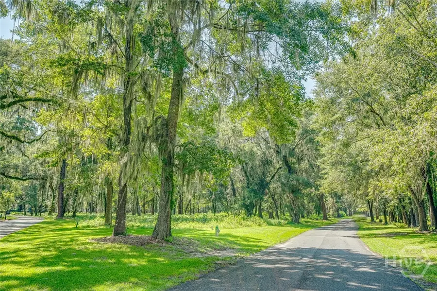 777 Silk Hope Drive, Richmond Hill, GA 31324 - Image #3