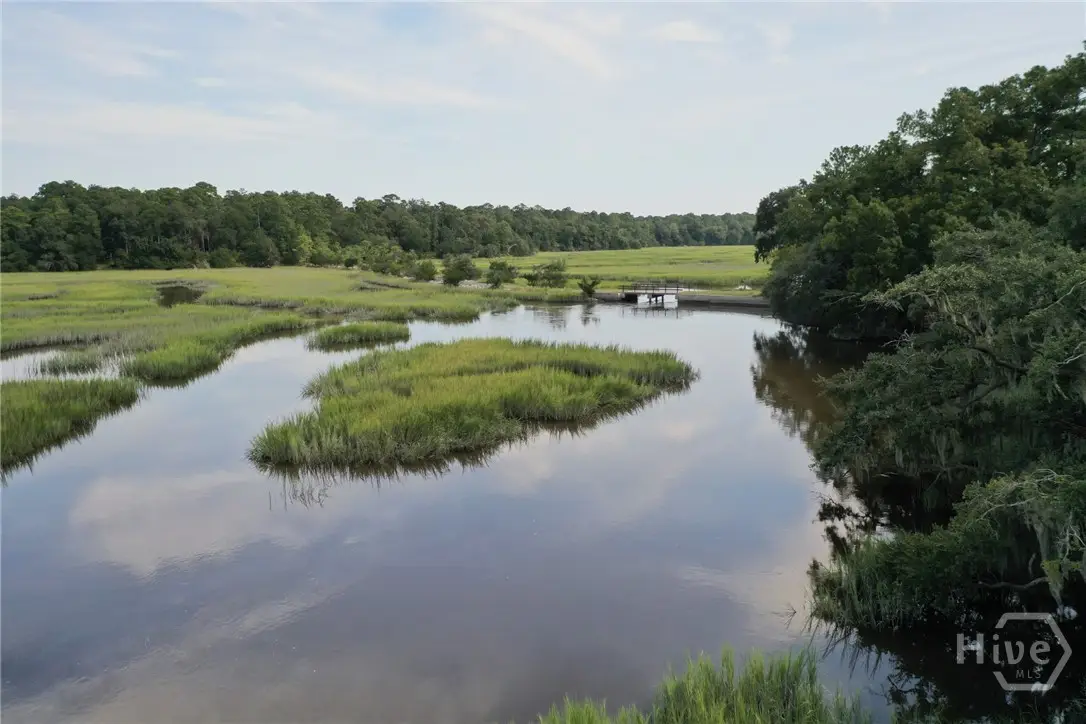 2061 Belle Island Road, Richmond Hill, GA 31324 - #1