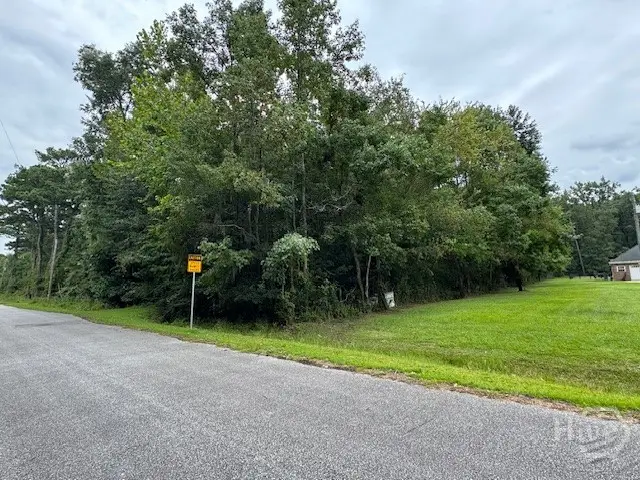 0 Hawkinsville Road, Garden City, GA 31407 - Image #1