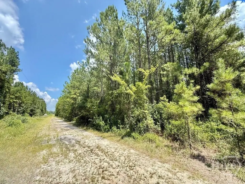 1 Firetower Road, Ludowici, GA 31316 - Image #1