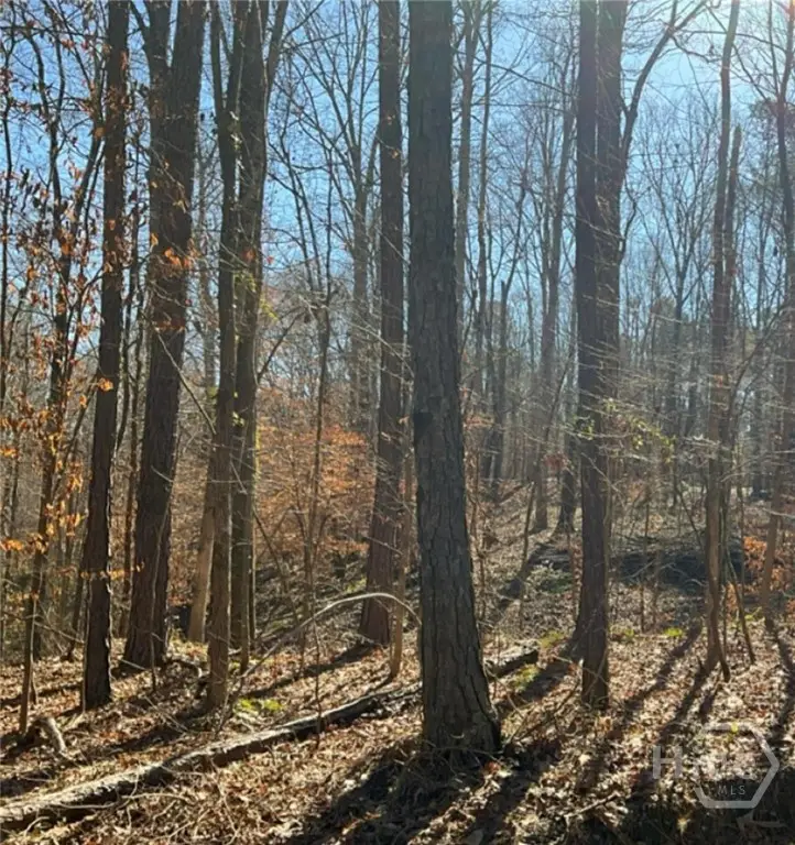 0 Long Leaf Drive, Thomson, GA 30824 - Image #2