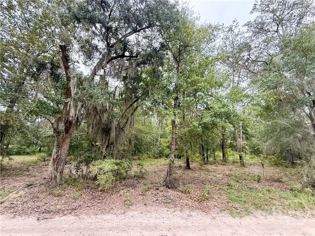 0 Hager Lane, Midway, GA 31320 - Image #1