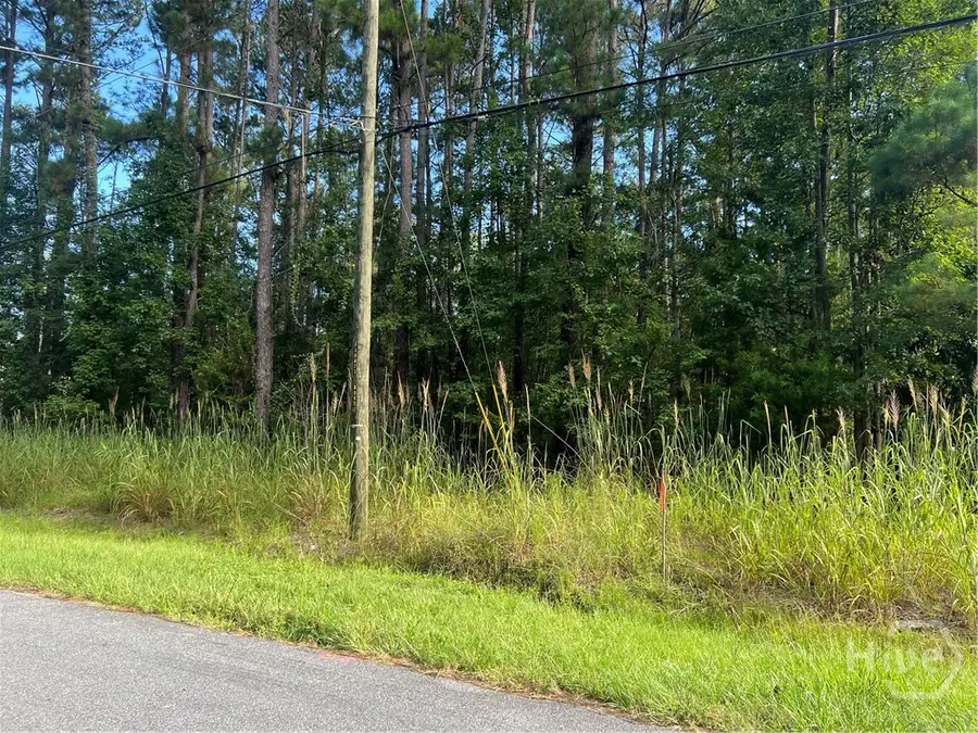 0 Grove Point Road, Savannah, GA 31419 - Image #2