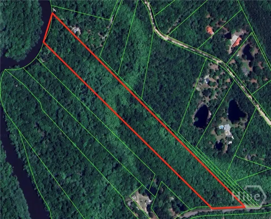 0 Old Hwy 204 Highway, Bloomingdale, GA 31302 - Image #1