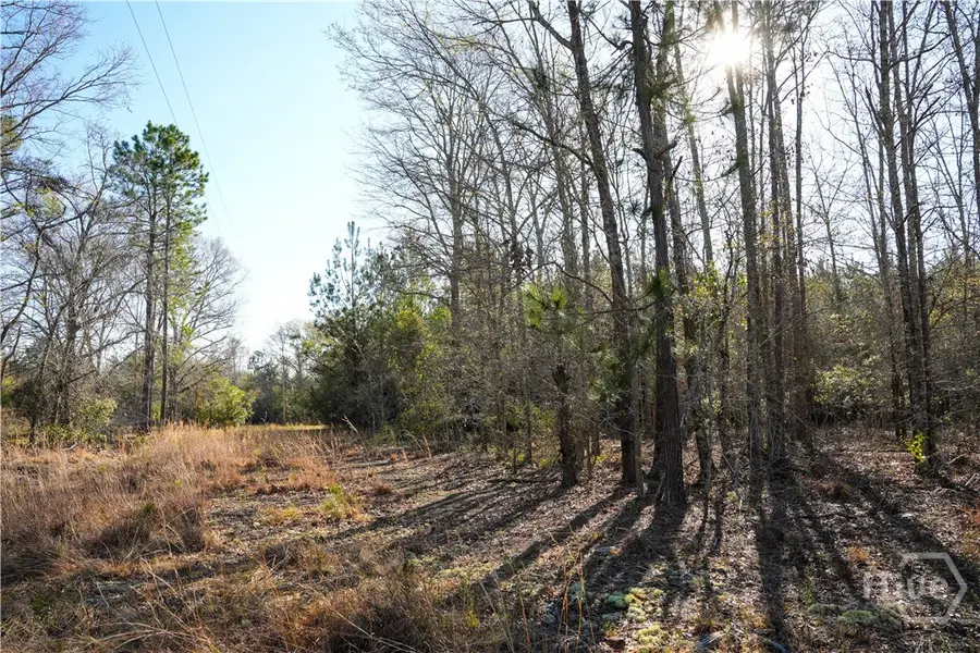 0 Clifton Road, Statesboro, GA 30458 - Image #3