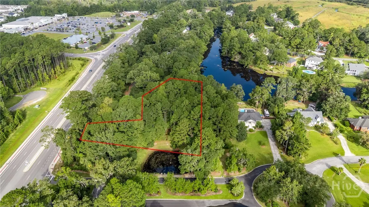 161 S Sterling Woods Drive, Richmond Hill, GA 31324 - #1