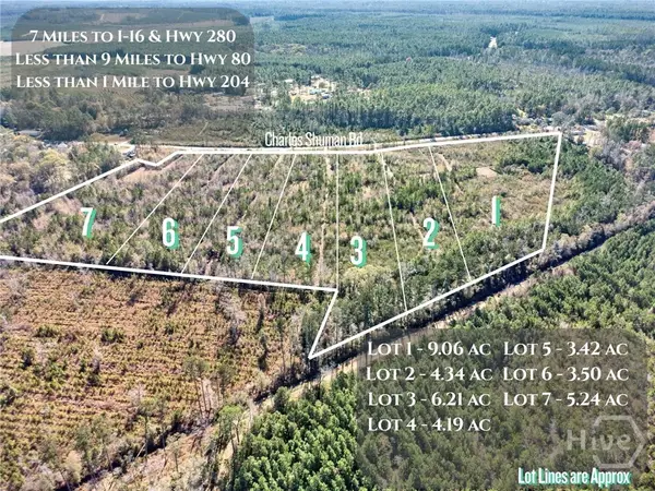 Lot 1 Charles Shuman Road, Pembroke, GA 31321