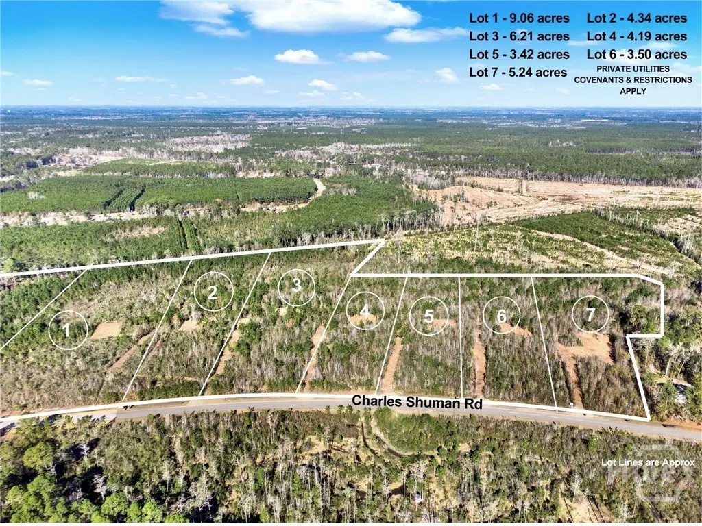 Lot 2 Charles Shuman Road, Pembroke, GA 31321 - Image #1