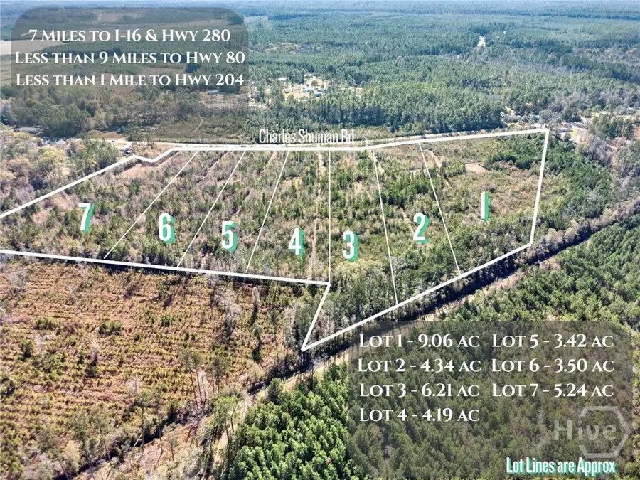 Lot 2 Charles Shuman Road, Pembroke, GA 31321 - Image #3