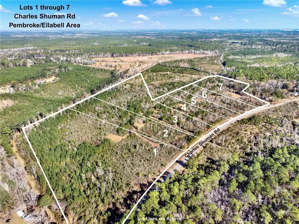 Lot 3 Charles Shuman Road, Pembroke, GA 31321 - Image #1