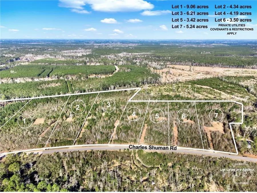 Lot 4 Charles Shuman Road, Pembroke, GA 31321 - Image #2