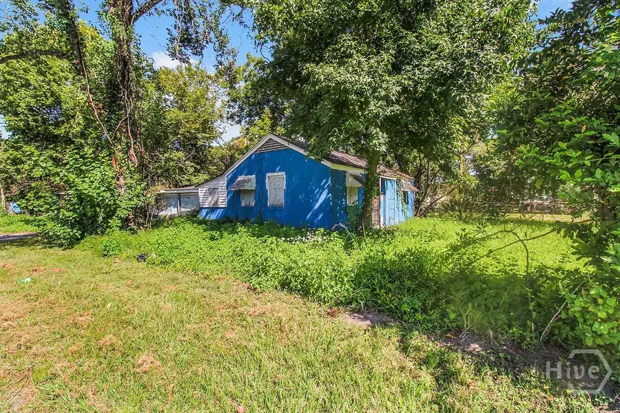 1019 Carter, Savannah, GA 31415 - Image #3