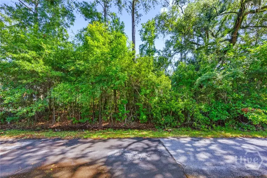 0 Pinetree Road, Midway, GA 31320 - Image #2