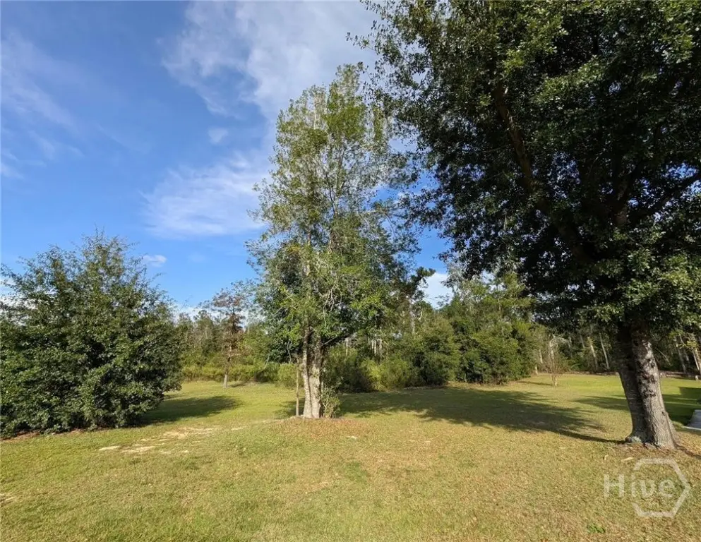 145 Worthington Drive, Ellabell, GA 31308 - Image #1