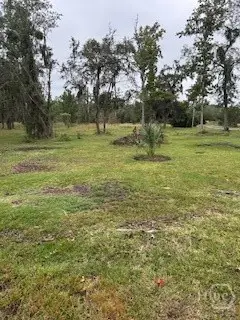 1179 NE River Plantation Place, Townsend, GA 31331 - Image #2