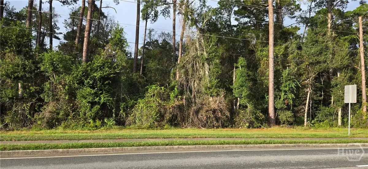 0 E General Stewart, Hinesville, GA 31313 - Image #1