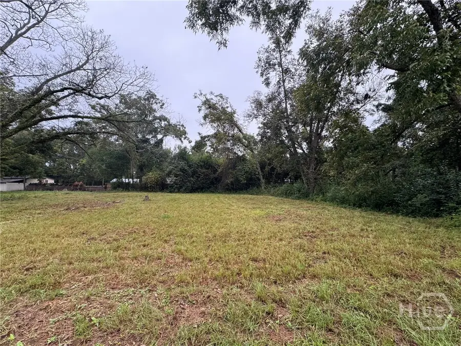 00 W Grady Street, Statesboro, GA 30458 - Image #2