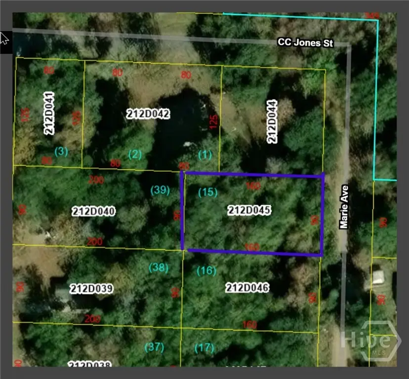 0 Marie  lot 15 Marie Avenue Avenue, Midway, GA 31320 - Image #1