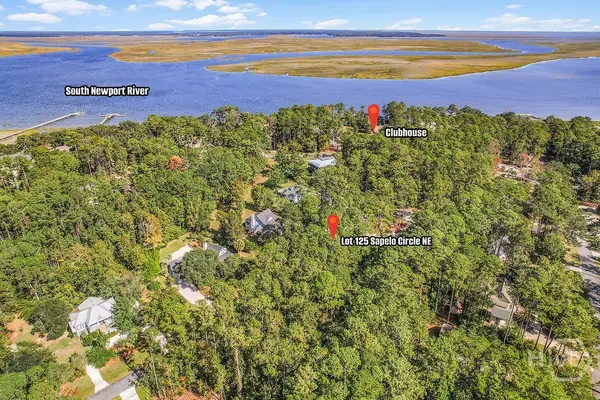 Lot 125 Sapelo Circle Ne, Townsend, GA 31331