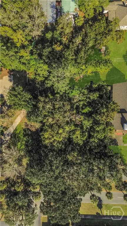 0 Victory Drive, Savannah, GA 31404 - Image #3