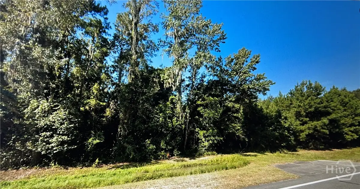 0 S Coastal Highway, Riceboro, GA 31323 - Image #1