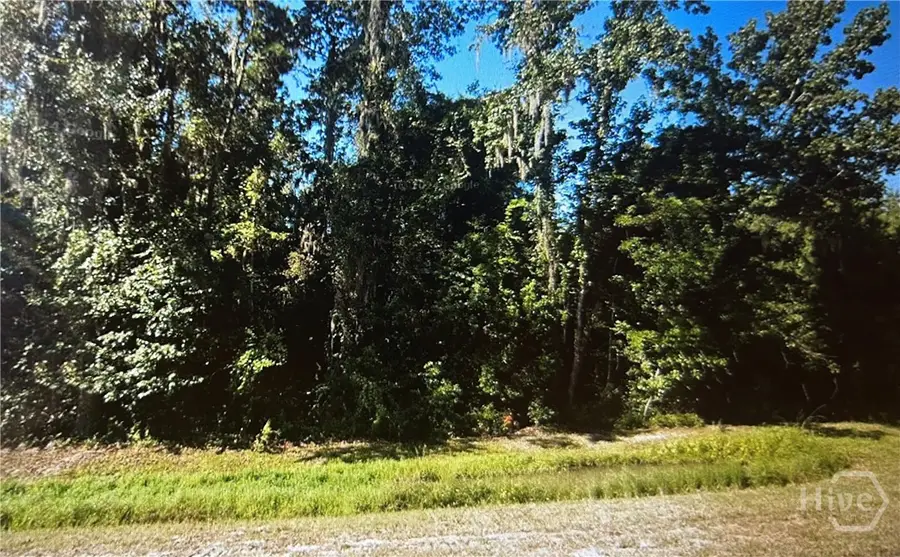 0 S Coastal Highway, Riceboro, GA 31323 - Image #2