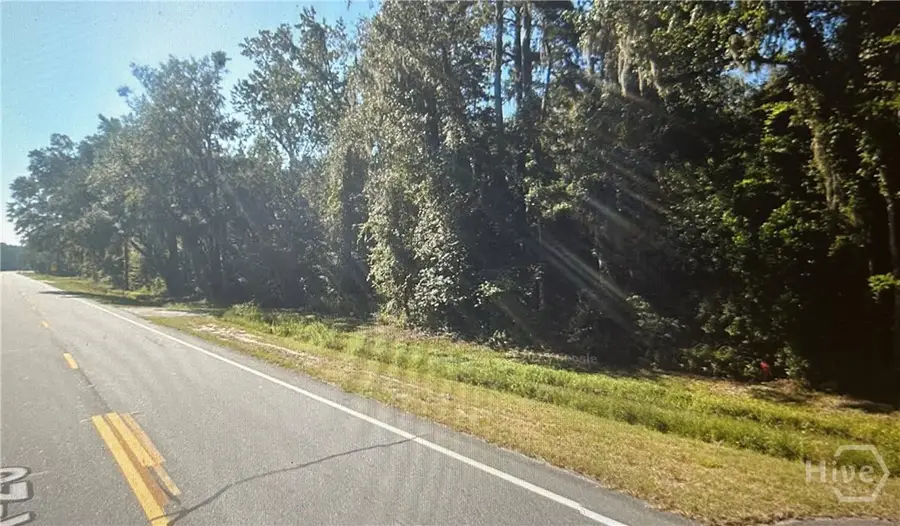 0 S Coastal Highway, Riceboro, GA 31323 - Image #3