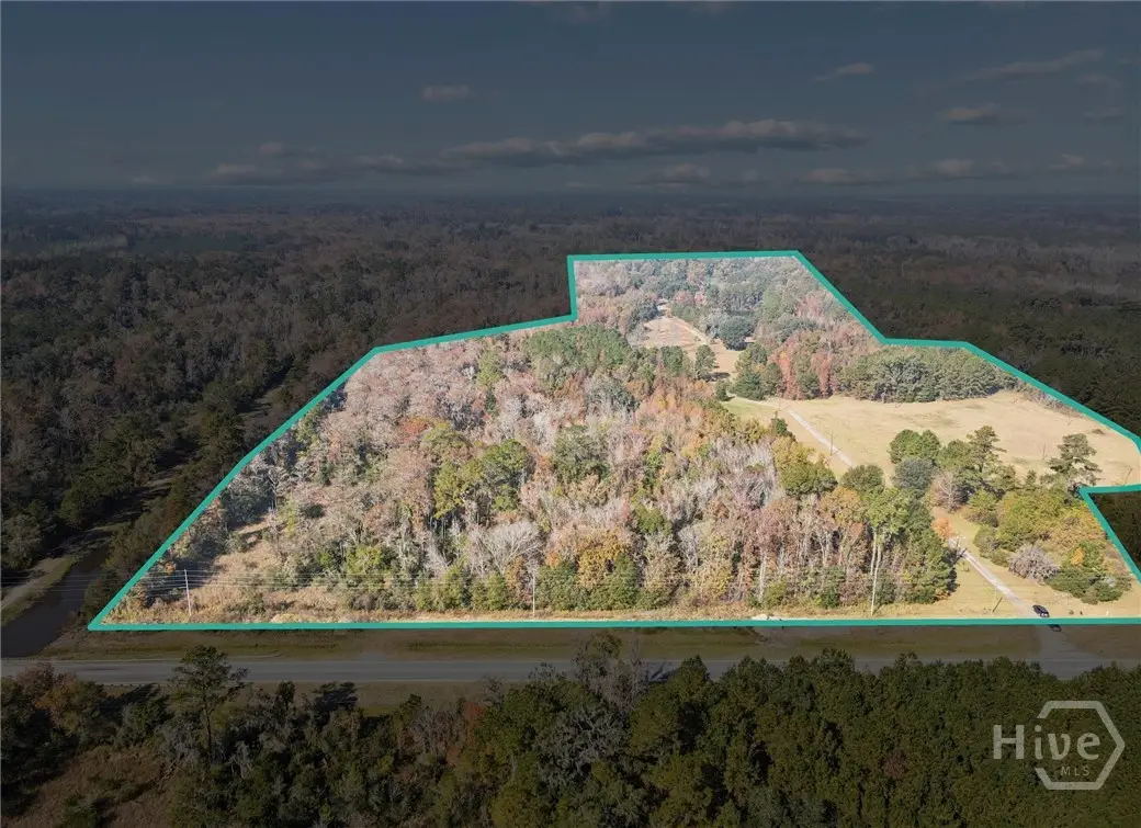 0 S Coastal Highway, Riceboro, GA 31323 - Image #1