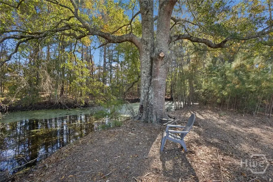 4342 Mud Road, Brooklet, GA 30415 - Image #3