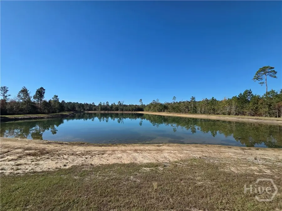 178 Lee Place Road Ne, Ludowici, GA 31316 - Image #2