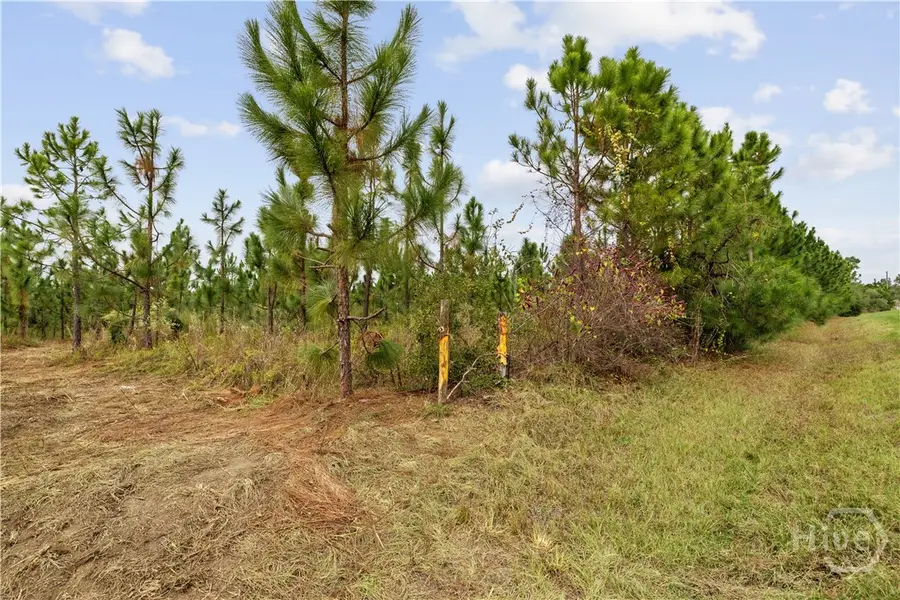 0 Hwy 297 - Tract 2 & 3, Soperton, GA 30457 - Image #3