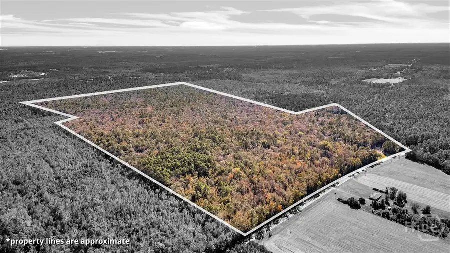 215 Herbert Kessler Road, Guyton, GA 31312 - #2