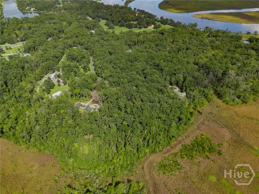 130 Mcallister Landing, Richmond Hill, GA 31324 - Image #3