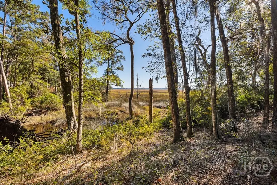 8 W London Hill Road, Woodbine, GA 31569 - Image #3