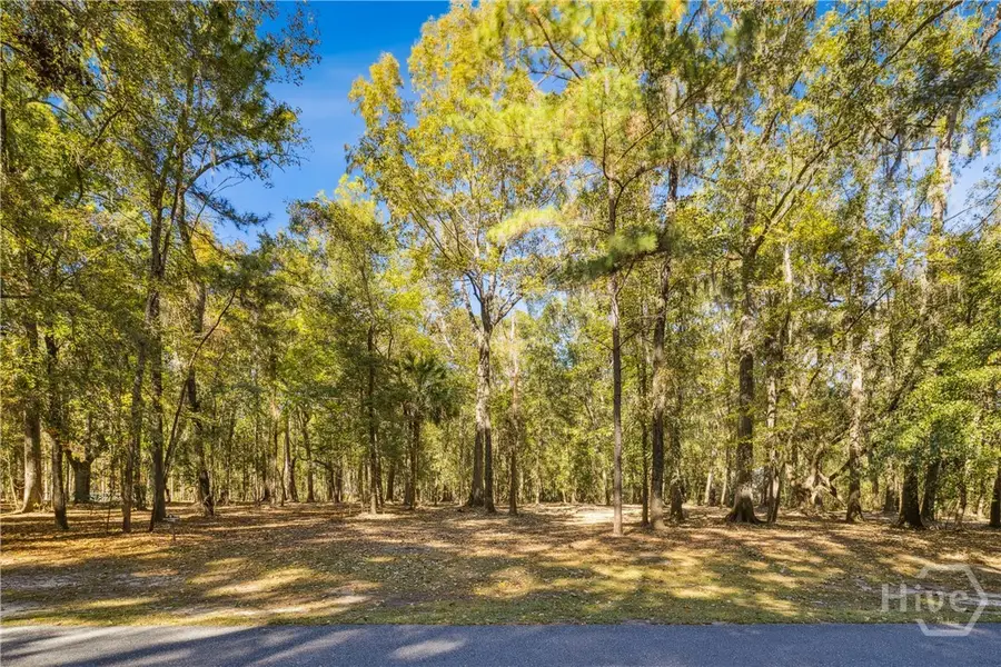 217 Mcallister Landing, Richmond Hill, GA 31324 - #2