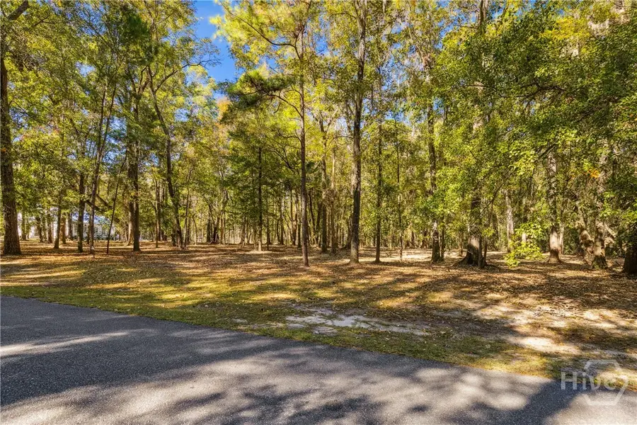 217 Mcallister Landing, Richmond Hill, GA 31324 - #3