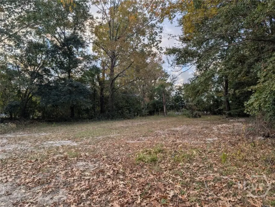 121 Roberts Street, Savannah, GA 31408 - Image #3