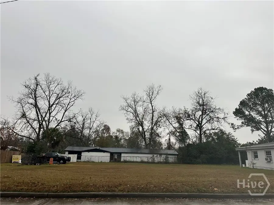 0 Roberts Street, Savannah, GA 31408 - Image #2