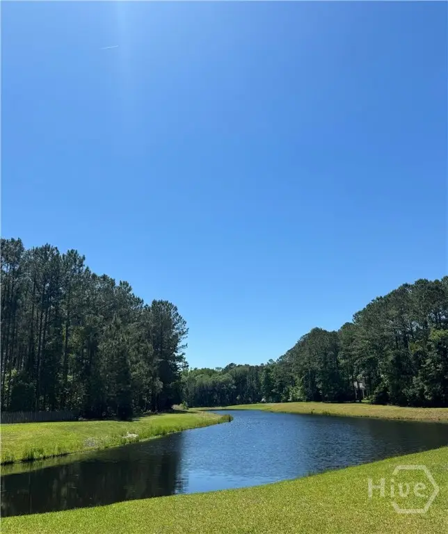 Lot 127 Saint Catherine Circle, Richmond Hill, GA 31324 - Image #3