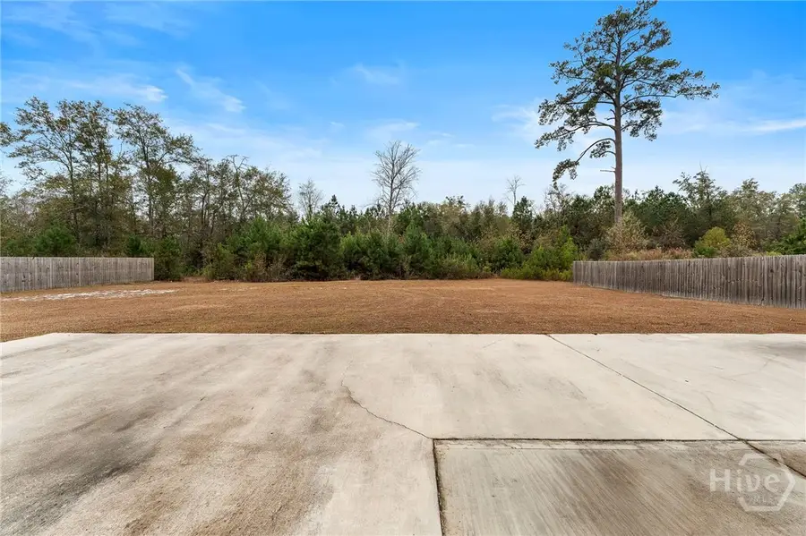 3703 Old Macon Darien Road Se, Ludowici, GA 31316 - Image #2