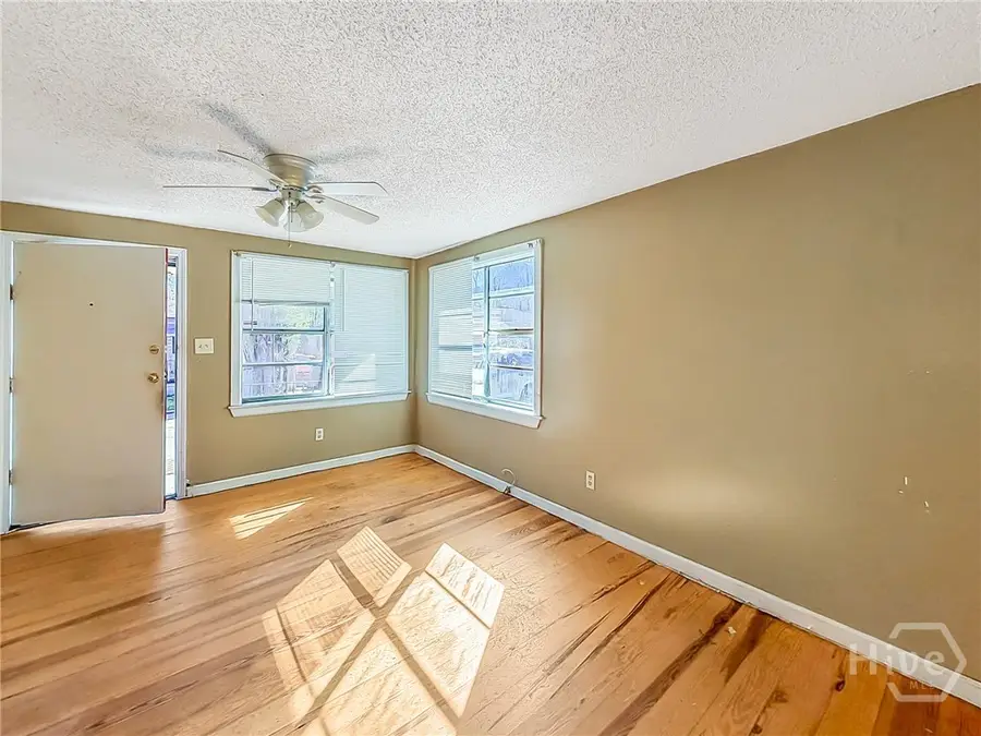 725 Fruit Street, Savannah, GA 31415 - #3