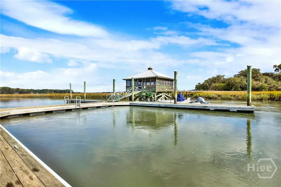 53 NE Delegal Drive, Townsend, GA 31331 - Image #3