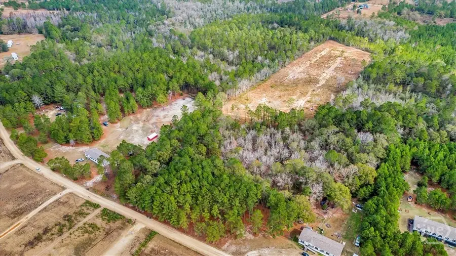 720 NE St Morris Road, Ludowici, GA 31316 - Image #3